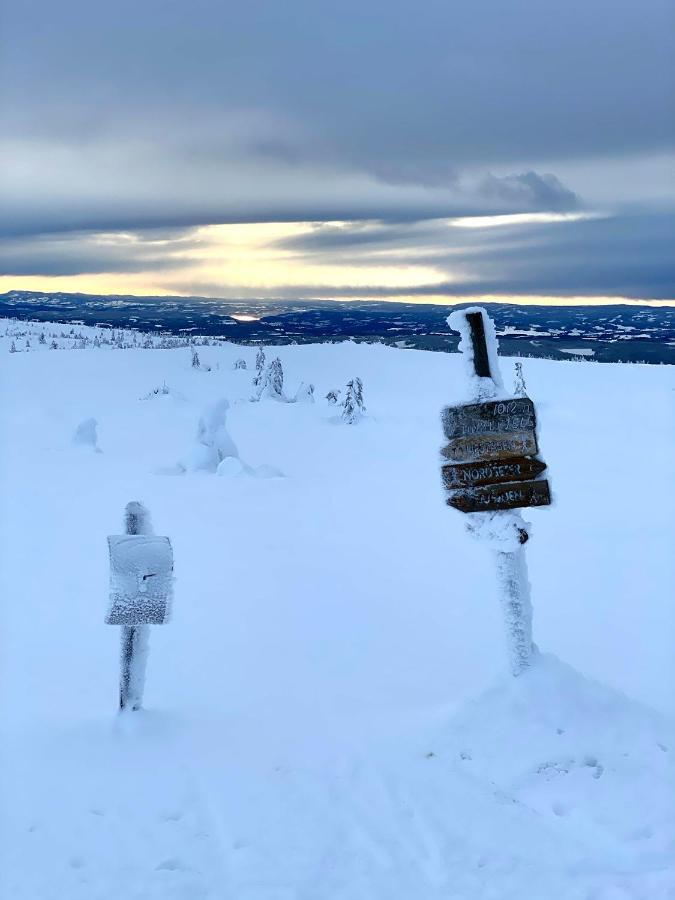 Lys Og Moderne Leilighet Rett Ved Skiloypa Pa Nordseter - Kort Vei Til Sjusjoen, Lillehammer Og Hafjell - Dyr Ikke Tillatt Bagian luar foto